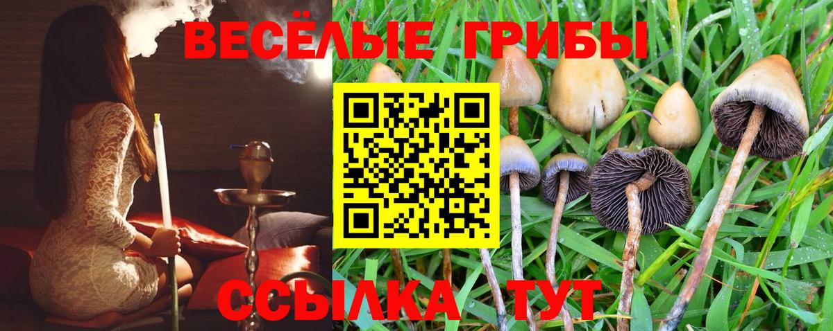 Галлюциногенные грибы Cubensis  Галлюциногенные грибы Psilocybe  Магадан  Вход с VPN 
